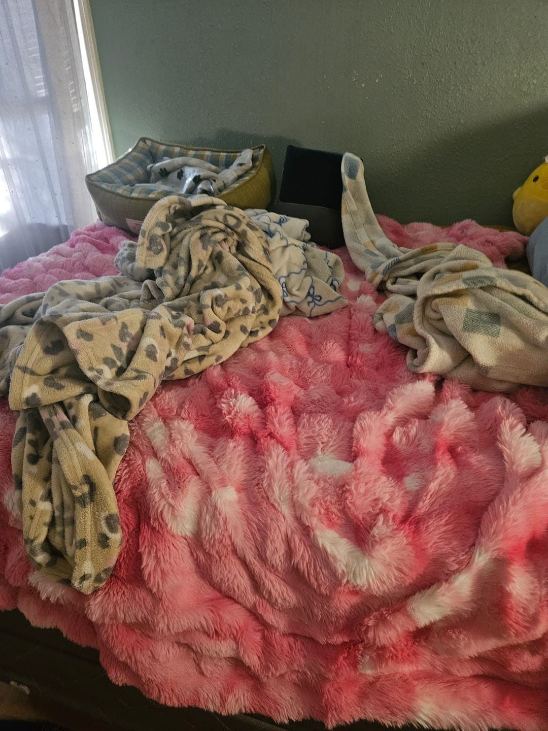 Customer photo review of Bubble Pop - Weighted Blanket