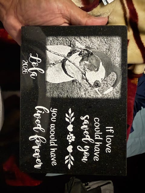 Customer photo review of Outdoor Personalized Dog Memorial Plaque If Love Could Have Saved You Personalized Outdoor Plaque