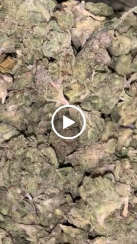 Customer video review of Cheap THCA Smalls Quarter Pound