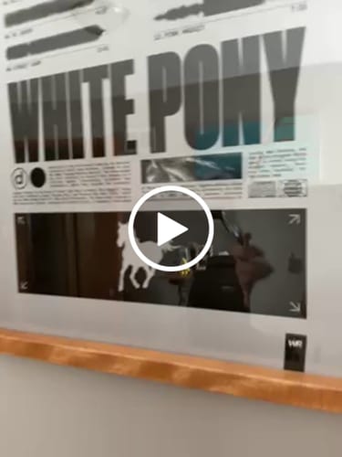 Customer video review of "White Pony"