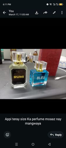 Reviewer's Rumi and Bleu De Zing perfume bottles, part of the Deal of the Month, sitting on a desk.