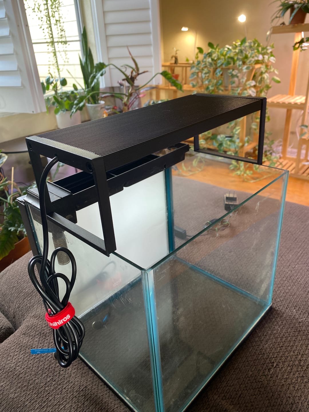 Customer photo review of Chihiros WRGB II Slim LED Light