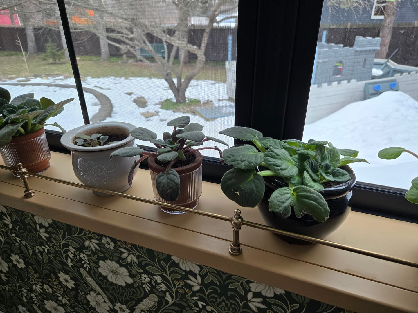 Customer photo review of Victorian Brass Gallery Rail - Antique Brass
