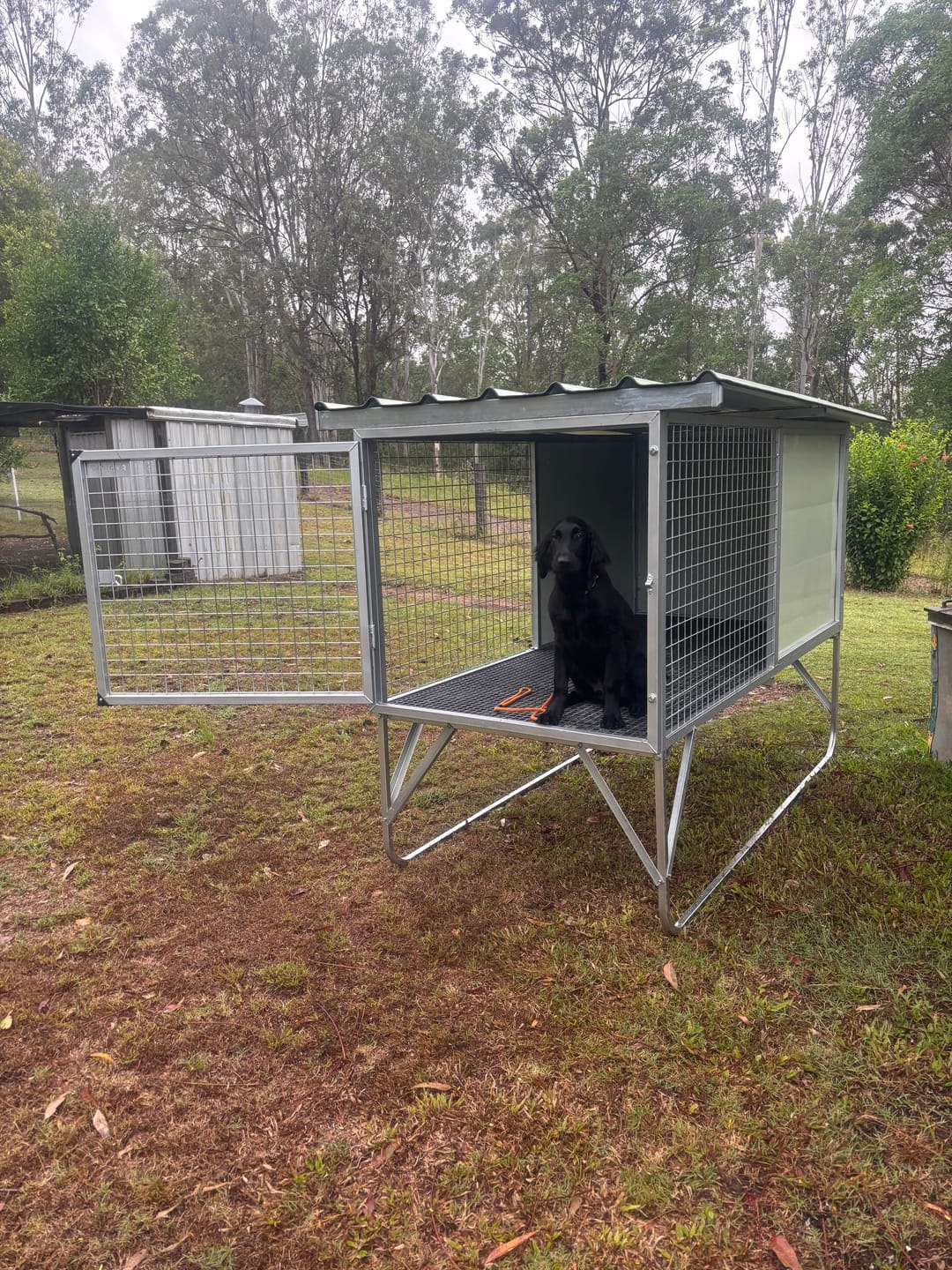 Customer photo review of Raised Safety Kennel