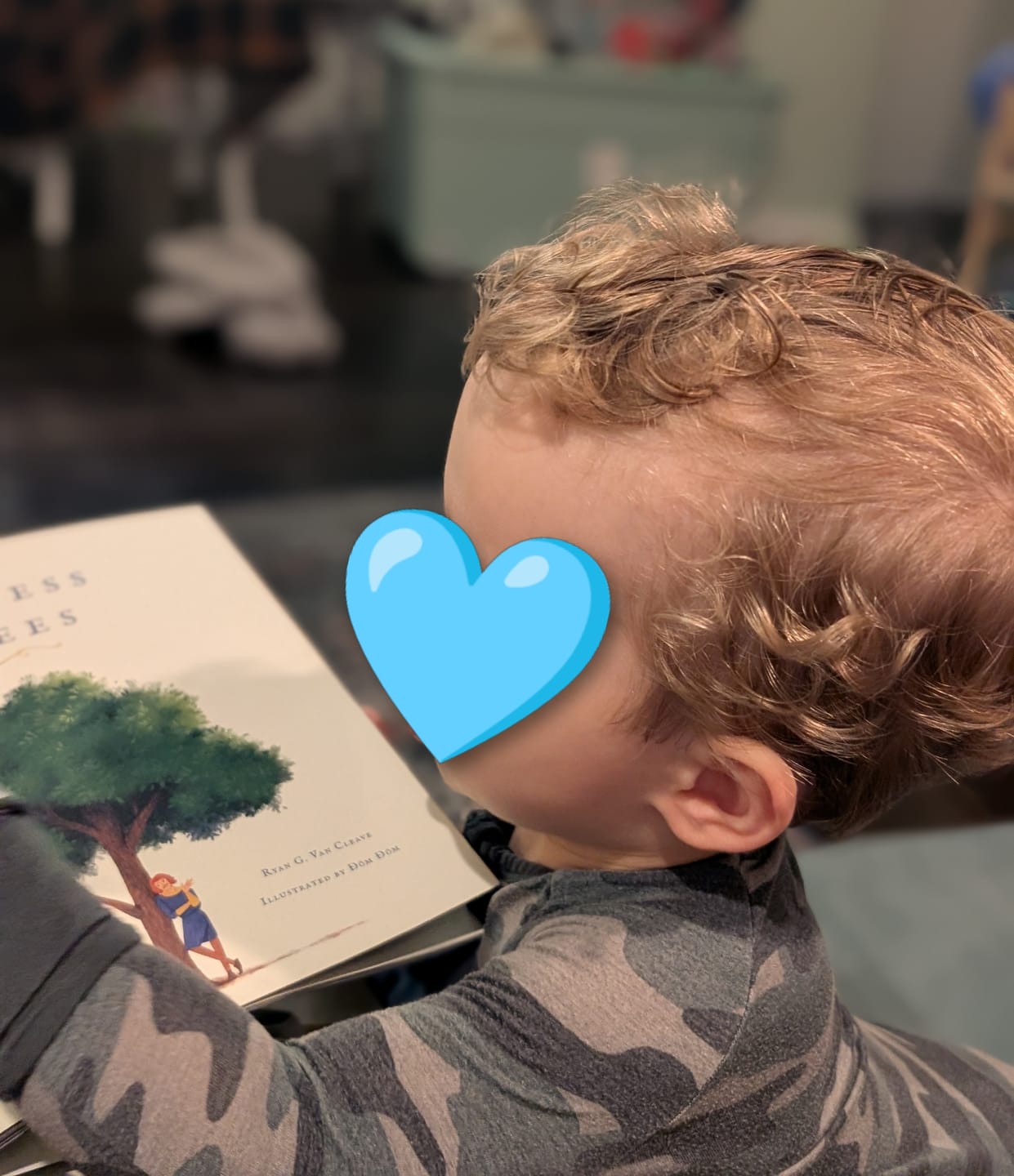 Customer photo review of The Witness Trees