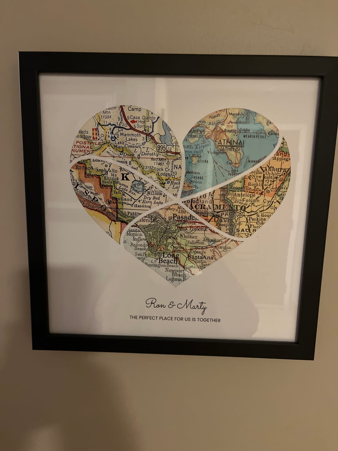 Customer photo review of Milestones Map [Digital Only]