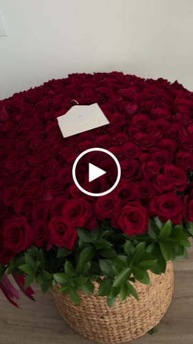 Customer video review of Grand Red