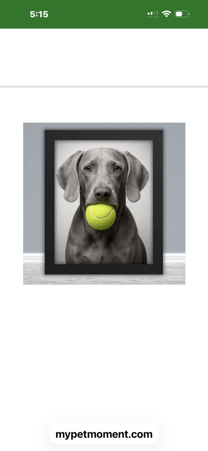 Customer photo review of The Good Life - Personalized Poster