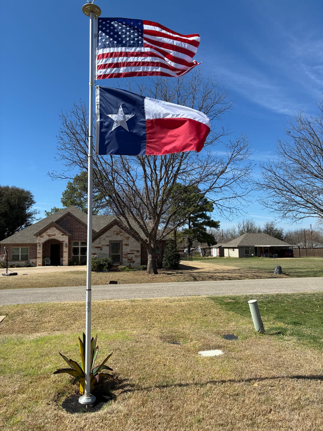 Customer photo review of 3' x 5' Texas Flag