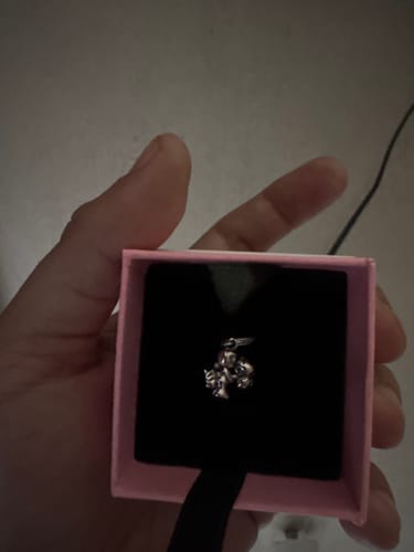 Customer photo review of COLLAR CADENA DE SERPIENTE CORAZON PANDORA PARA CHARMS PLATA 925
