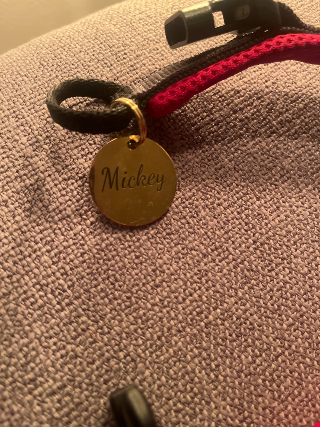 Customer photo review of Hundemarke mit Gravur, Name und Telefon personalisiert, rund, 25mm oder 30mm in verschiedenen Farben
