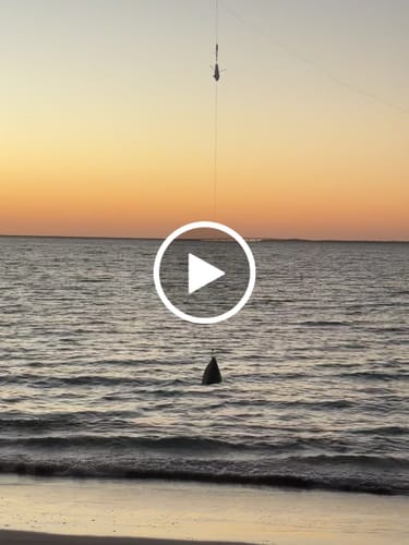 Customer video review of Aeroo Pro Combo