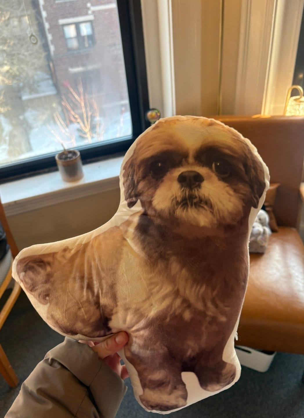 Customer photo review of Custom Dog Shaped Memorial Pillow for Pet Owners from Your Pet Picture