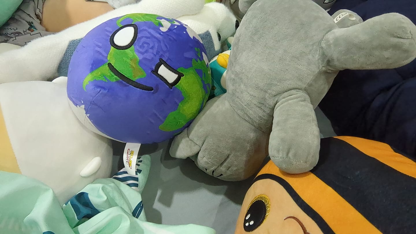 Customer photo review of The SolarBalls Earth Plush