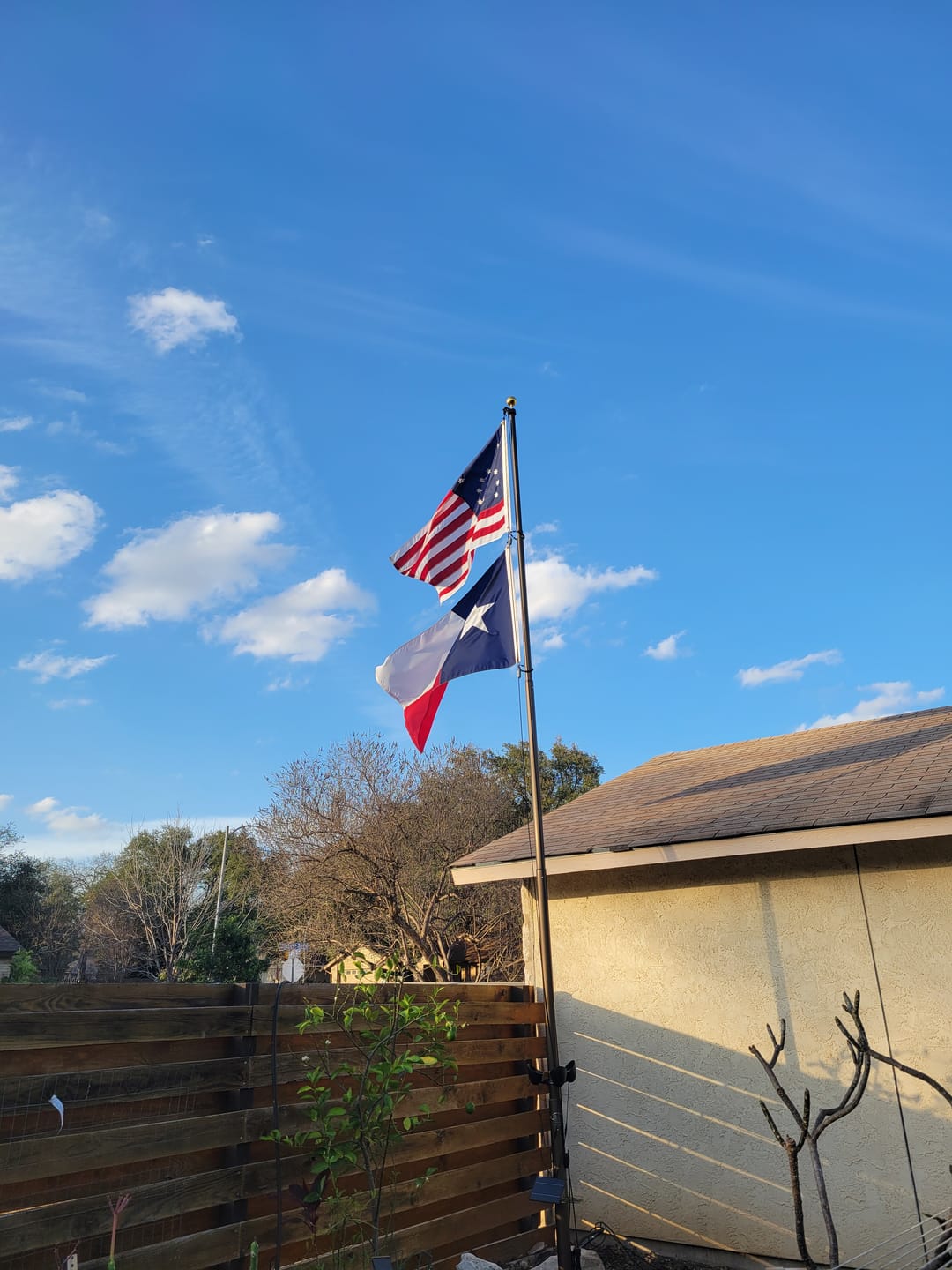 Customer photo review of 3' x 5' Texas Flag