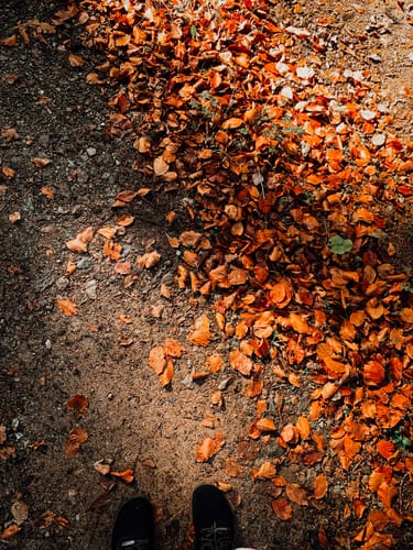 Reviewer's photo of feet on a path with autumn leaves, edited with the warm GOLDEN HOUR LIGHTROOM PRESETS.