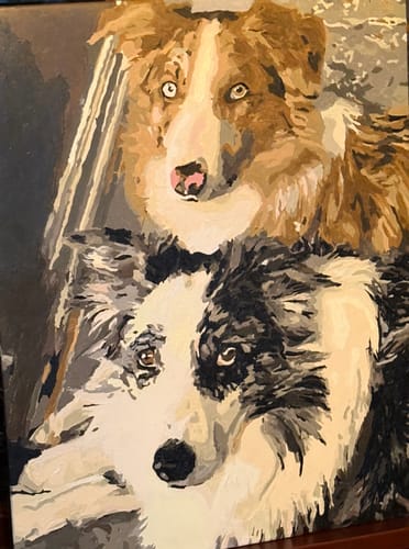 Customer's completed Paint Your Pet by Numbers portrait showing two beautiful dogs, one brown and one black and white.