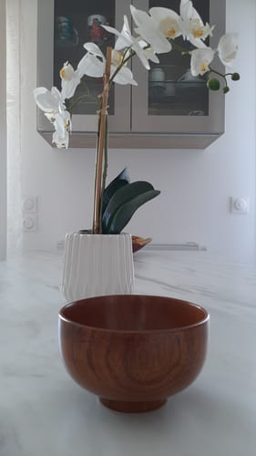 Customer photo review of Bol à Soupe Japonais Bois