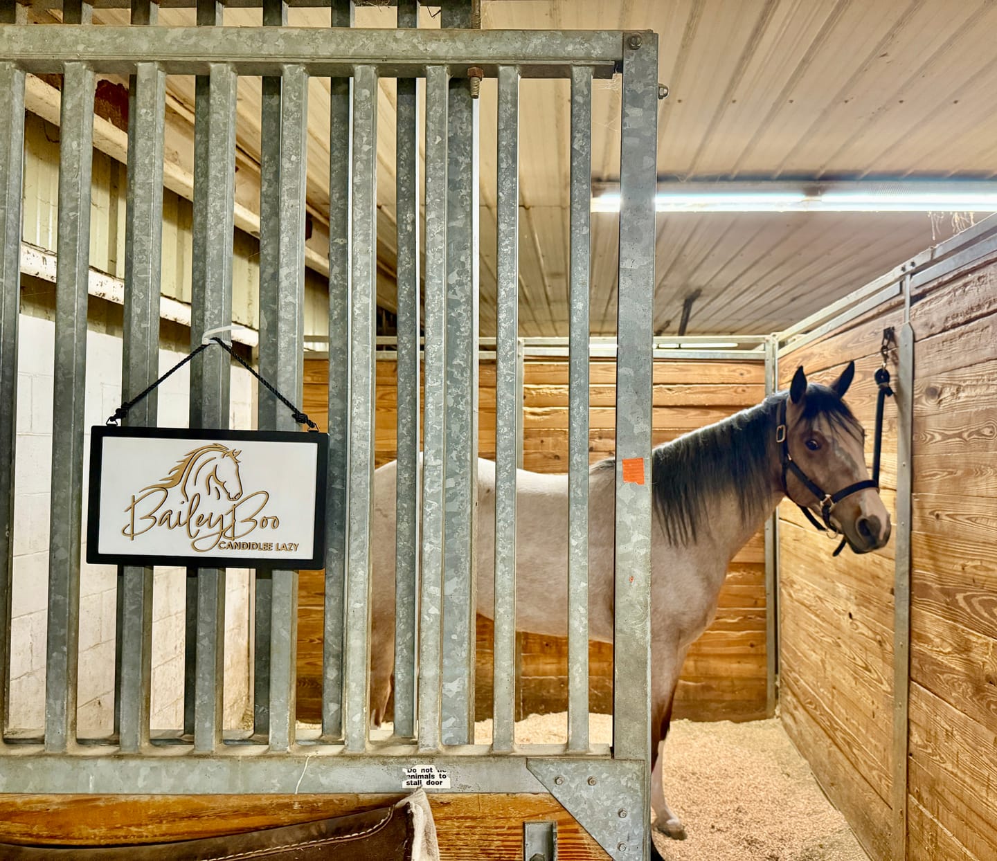 Customer photo review of The Signature Stall Nameplate – Custom Personalized Horse Sign