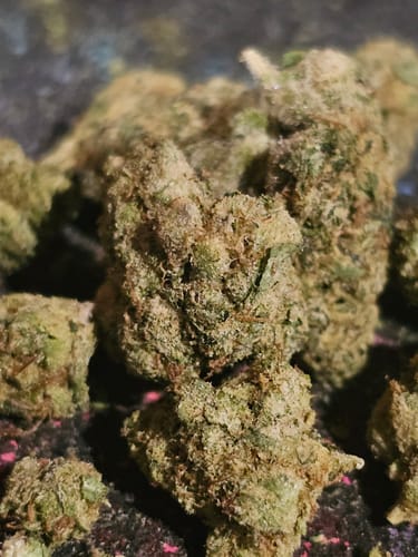 Customer photo review of Ghost Train Haze THCA Flower