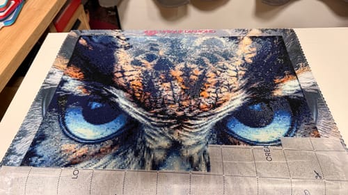 Customer photo review of 5D Diamond Painting – Mystische Eule im Nebelwald