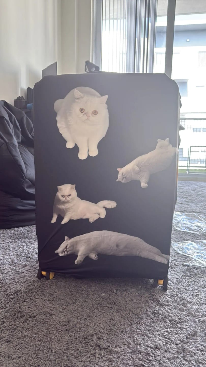 Customer photo review of Housse de Valise Personnalisée