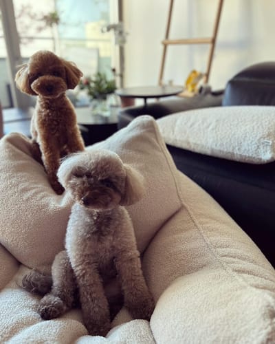 Customer photo review of DODO BEAN BAG - TEDDY FLEECE CREAM