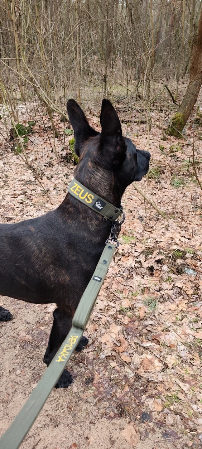 Customer photo review of Smycz przepinana dla psa z imieniem - Personal Multi Leash