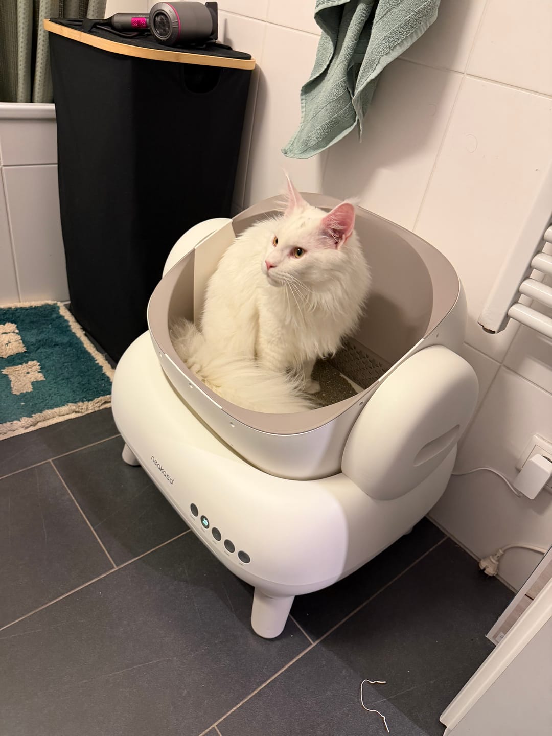 Customer photo review of Neakasa M1 Lite Plus Automatische Katzentoilette – Verbesserte Version