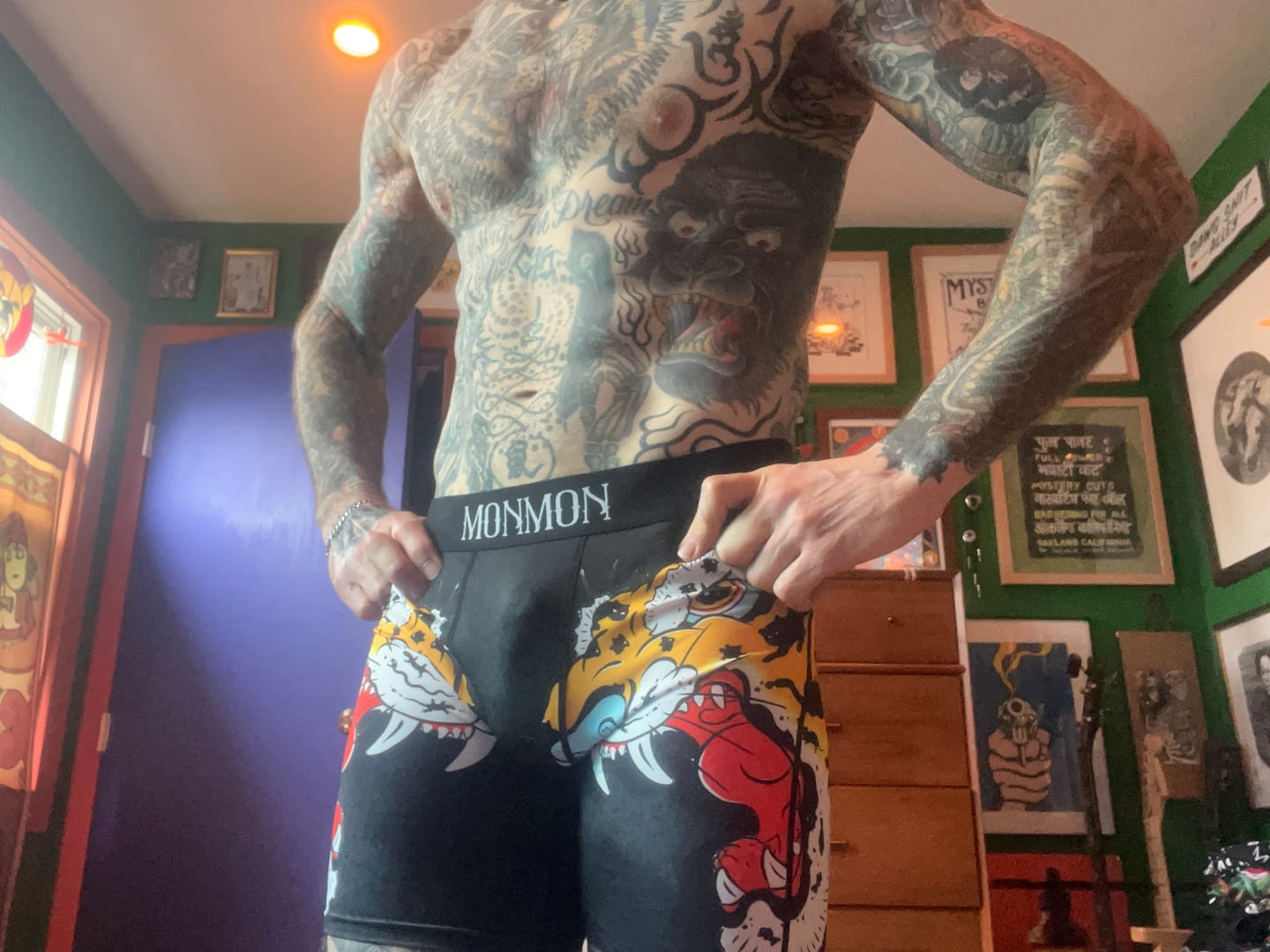 Customer photo review of Tiger Cat Boxers