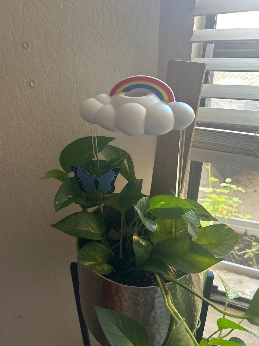 Customer photo review of Primary Rainbow Charm