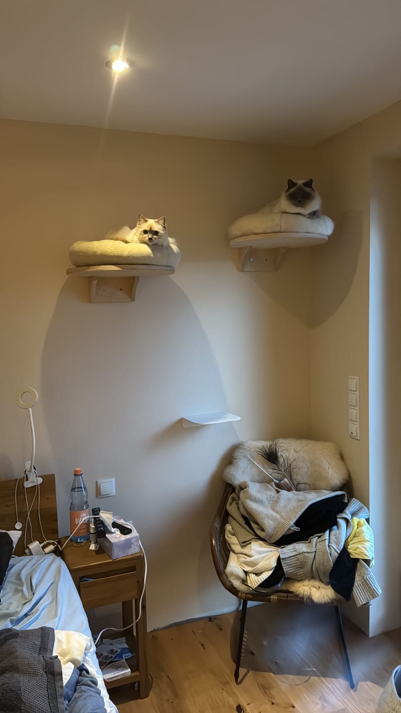 Customer photo review of STYA Katzen Kletterwand | Katzen Treppe WL340 | Mit 3 Stufen