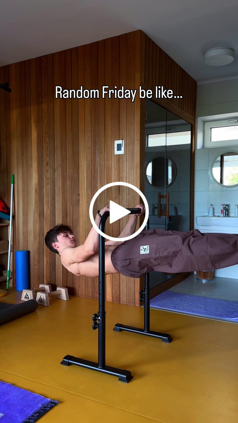 Customer video review of Adjustable Dip Bars