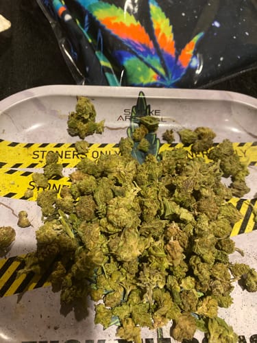 Customer photo review of Cheap THCA Smalls Quarter Pound