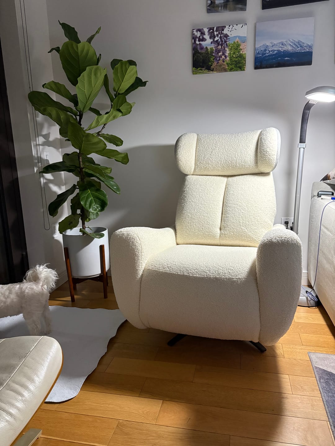 Customer photo review of SwanSing Swivel Power Zero Gravity Recliner Chair