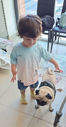Customer photo review of AMITY SALMÓN PERRO ADULTO 4kg