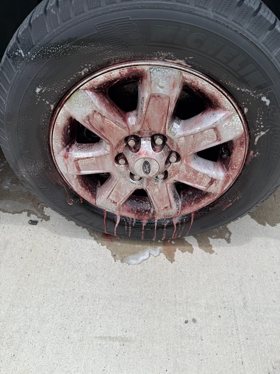 Customer photo review of Wheel Cleaner