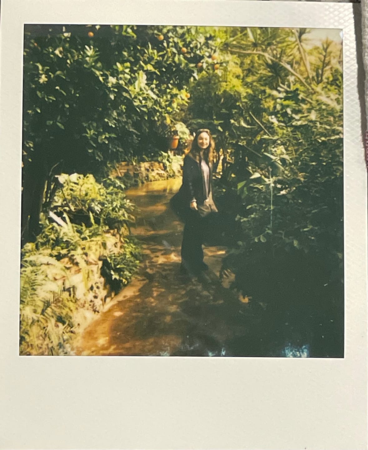 Customer photo review of Polaroid 600 Camera Repair