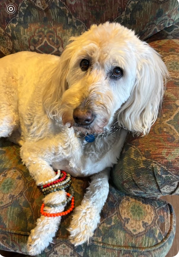 Customer photo review of Mystery Bracelet