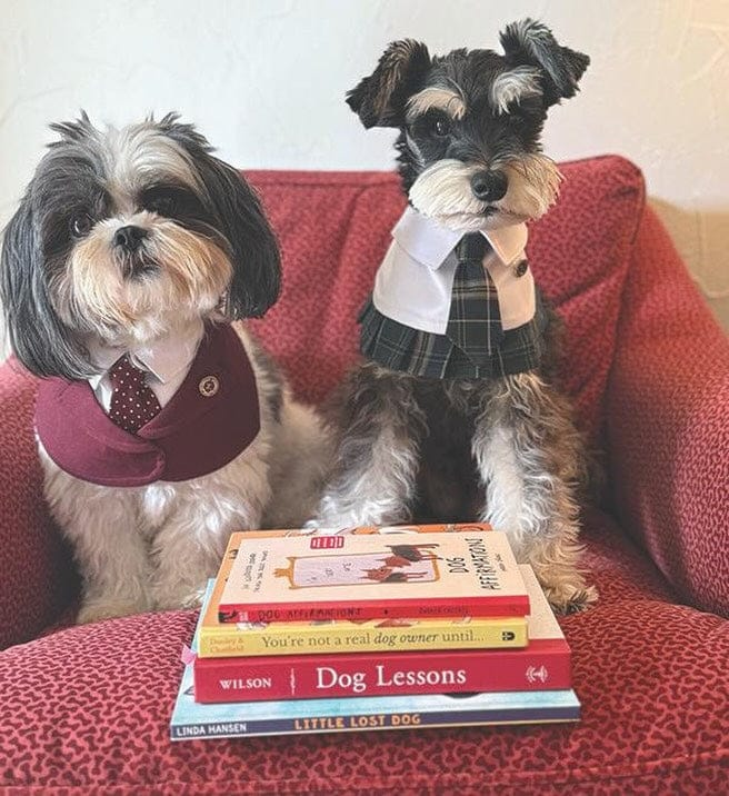 Customer photo review of Windsor – Burgundy & Green Dog Suit | Elegant Outfit