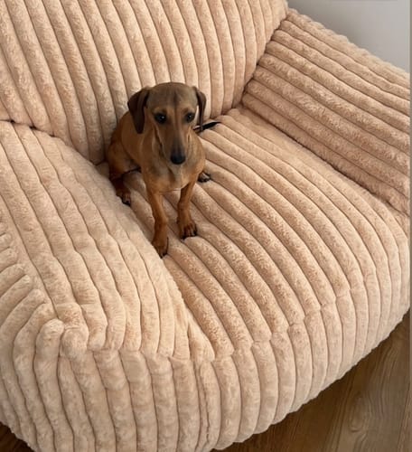 Customer photo review of DODO LOUNGE CHAIR - CHANNEL CORD SANDSTONE