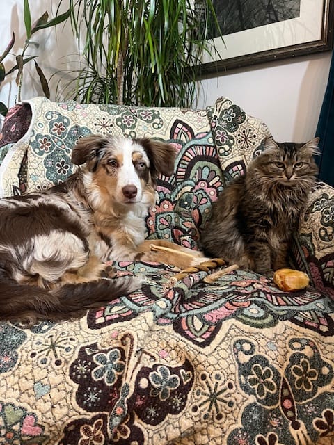 Customer photo review of Himalayan Yak Chew (MEDIUM)