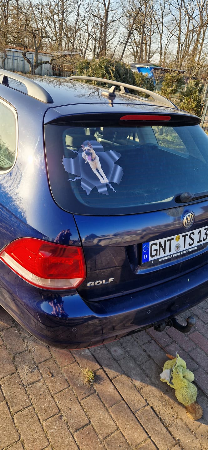Customer photo review of Personalisierter Autoaufkleber - Spähendes Foto