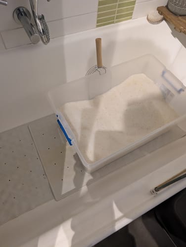 Customer photo review of 1 Month Supply – 2 Cat