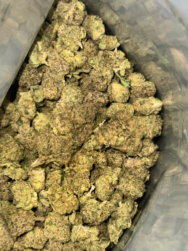 Customer photo review of Sunset Sherbet Indoor Littles - Bulk - Hybrid