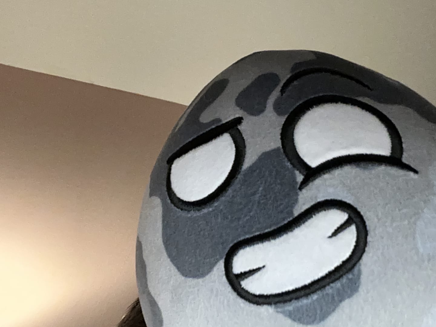 Customer photo review of The SolarBalls Moon Plush