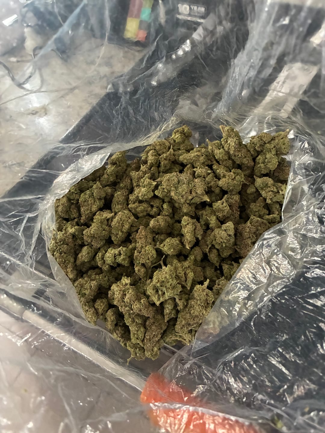 Customer photo review of Gush Mintz Light Assist THCA