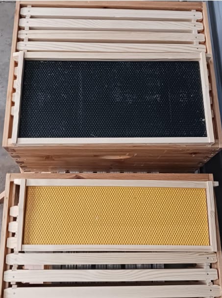 Customer photo review of VLoveBee 10-Frame 4-Layer Cedar Wood Bee Hive Kit – Complete Logo-Free Langstroth Beeswax Dipped Unassembled Hive Includes 2 Deep Boxes and 2 Medium Supers with 40 Plastic Foundation & Wooden Frames