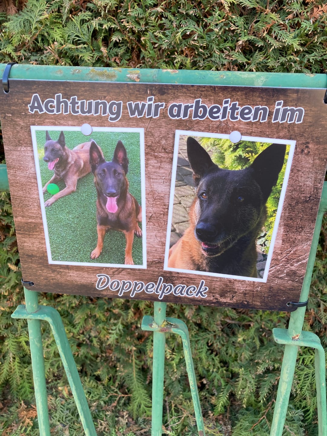 Customer photo review of Hunde-Türschild personalisiert mit Foto & Text (UV- und wetterfest)