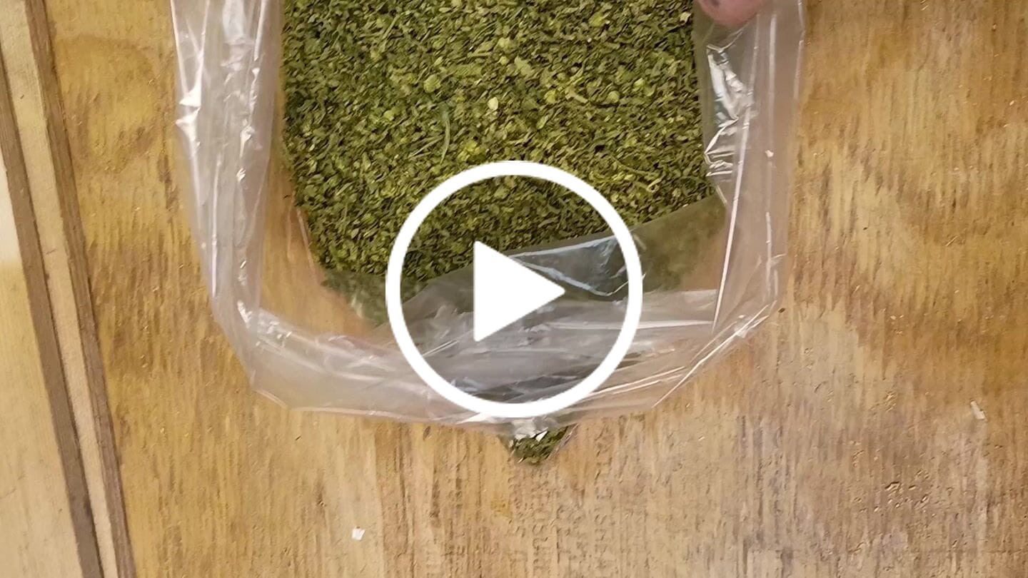 Customer video review of No 1. LA Pop Rock THCa Shake